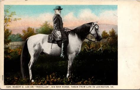 Postcard General Robert E Lee On Traveler His War Horse Life In