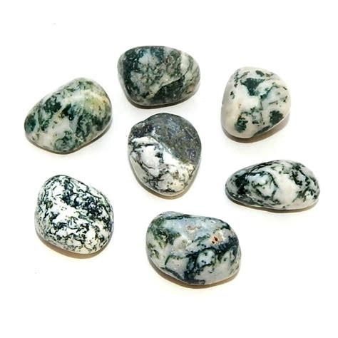 Facts About Tree Agate: Meanings, Properties, and Benefits - Gemstagram