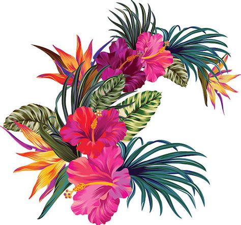 781200 Tropical Flower Stock Photos Pictures And Royalty Free Images