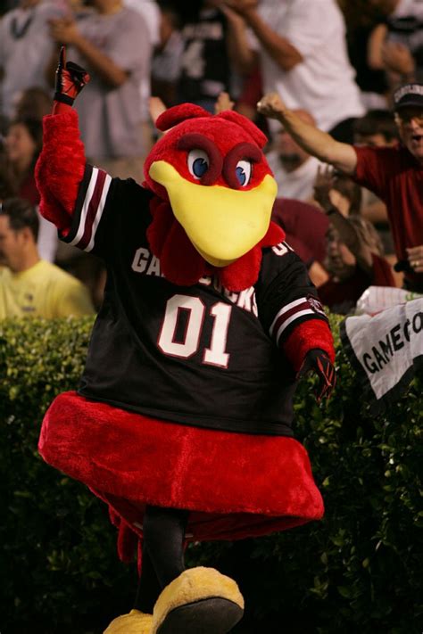88 best images about Cocky and Sir Big Spur: Everyone's ...