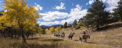 Horseback Riding In Estes Park And Rocky Mountain National Park