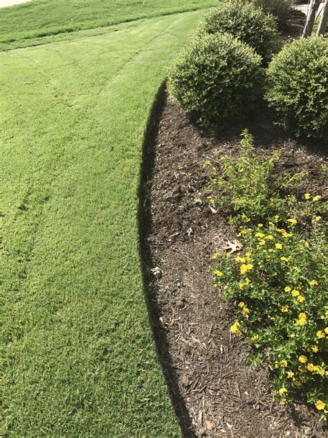 2964 tyler , tx 75707 Summer Lawn Care in North Texas - R&O Landscape Services ...