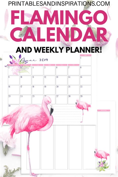 2020 2021 Flamingo Calendar Weekly Planner Free Printable Printables And Inspirations
