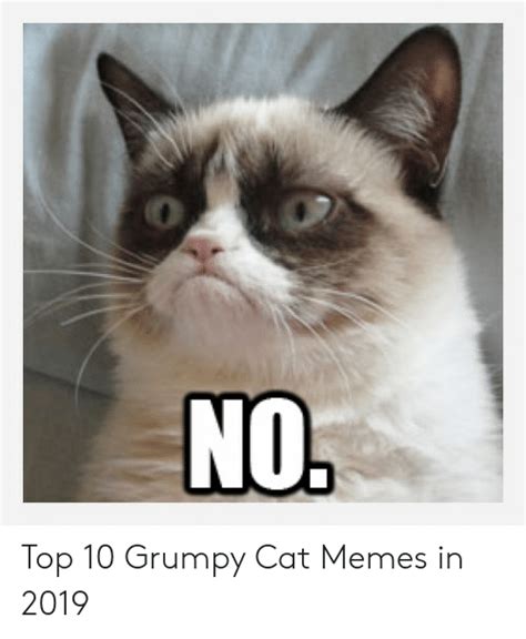 30 Memes 2019 Grumpy Cat Factory Memes