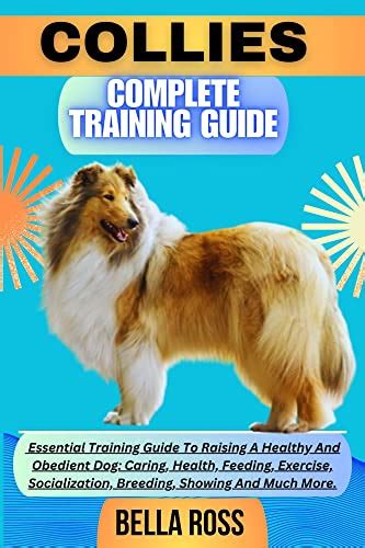 Collies Complete Training Guide Essential Training Guide To Raising A