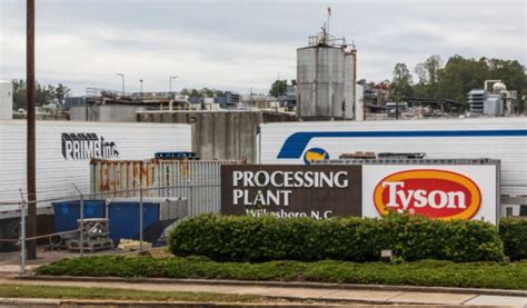 Tyson Foods Employs Covid 19 Tracking Algorithms At Meatpacking Plants