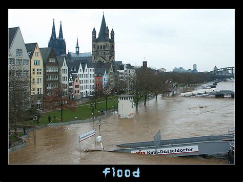 Regen und gewitter bestimmen das wetter. Hochwasser in Köln Foto & Bild | reportage dokumentation ...