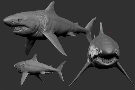Find professional shark 3d models for any 3d design projects like virtual reality (vr), augmented reality (ar), games, 3d visualization or animation. shark 3D model game-ready animals | CGTrader