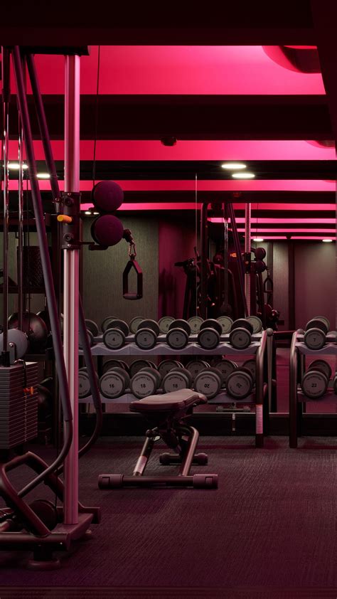 Top 63 Imagen Gym Background Wallpaper Vn