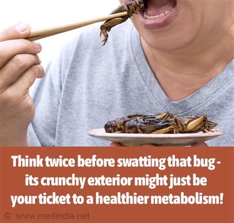 How Eating Insects Could Combat Weight Gain