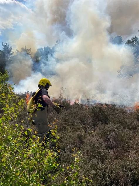 Shocking Images Show Devastating Wildfire Taking Hold Of Hampshire