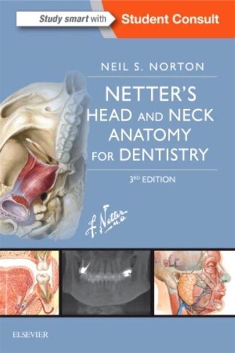 Netters Head And Neck Anatomy For Dentistry 9780323392280 Neil