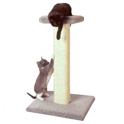 Sisal Cat Scratch Pole With Perch
