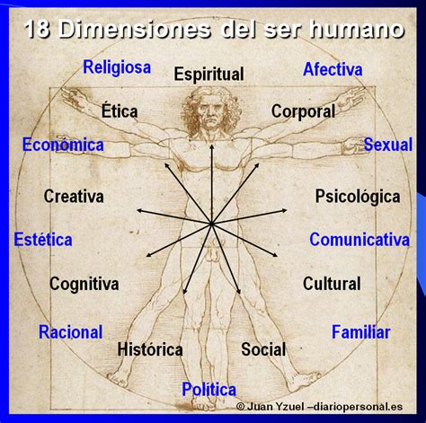 Dimensiones Del Ser Humano