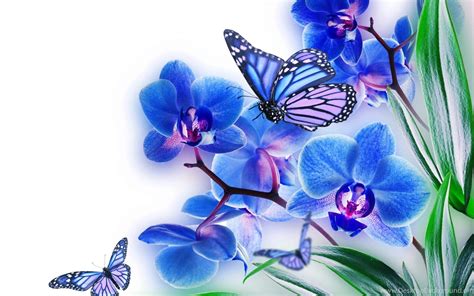 Graphic image of antique ephemera with butterfly and flower design. Download Wallpapers Hd Butterfly Blue Flowers With ...