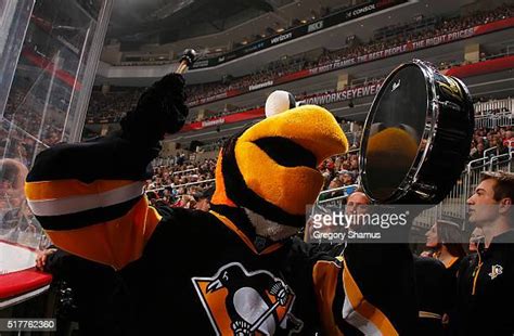 pittsburgh penguins mascot photos and premium high res pictures getty images