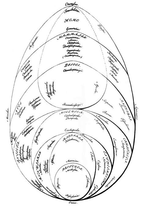 Trees Of Life A Visual History Of Scientific Diagrams Explaining