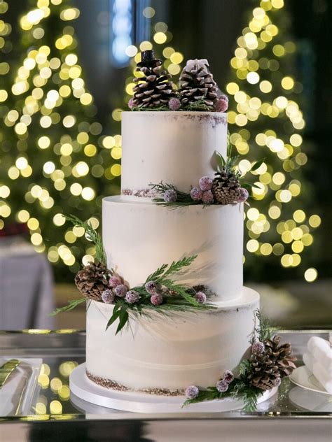 30 Winter Wedding Cake Ideas Youll Absolutely Love