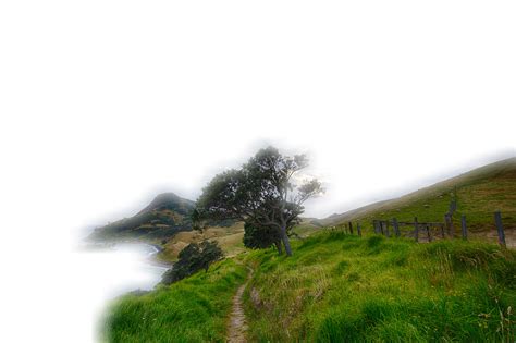 Landscape Rush Grass · Free image on Pixabay