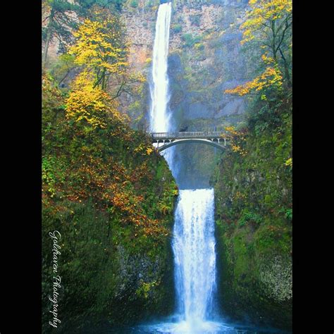 Multnomah falls recreation area and the historic lodge are open as well as benson bridge and the trail to the top of the falls and the trail to wahkeena falls. Instagram photo by Goldraven Photography • Jul 3, 2016 at ...
