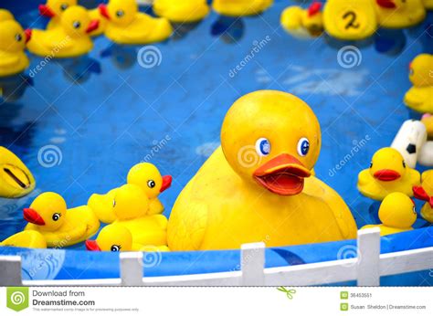 Rubber Duckies At A Carnival Game Stock Image Image Of Blue Yellow