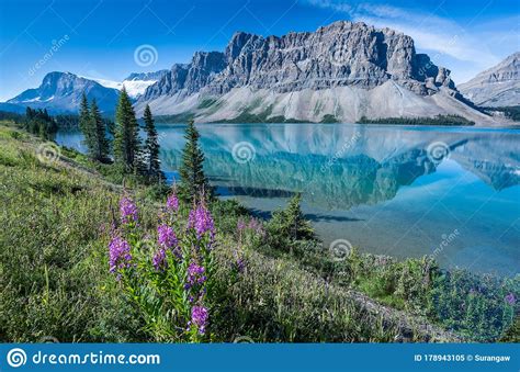 Bow Lake Banff National Park Alberta Canada Stock Image Image Of