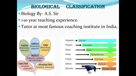 Biological Classification Lecture 3 Neet 11th Class Youtube Riset