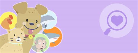Animal welfare, wellbeing, rights and protection. © Animal Friends Jogja