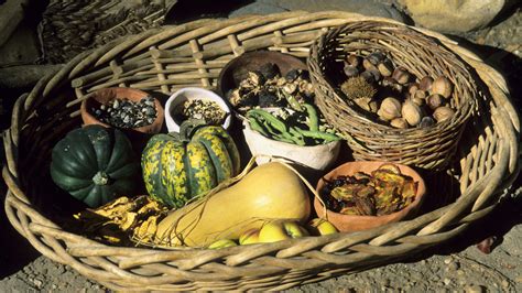 All across the continent, native american food focused on these three staples. Seed Bank Helps Preserve Cherokee Culture Through ...