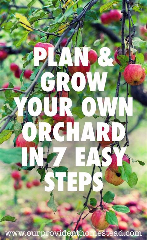 Orchard Care For A Fabulous Fruit This Fall 9 Tips And Tricks To