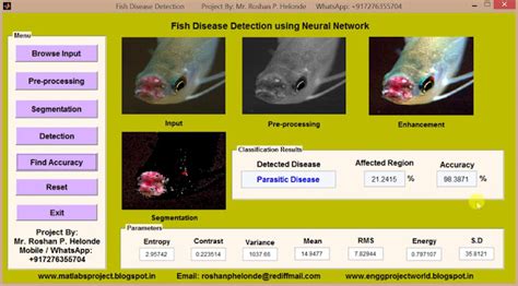 Fish Disease Detection Using Neural Network Matlab Project With Source