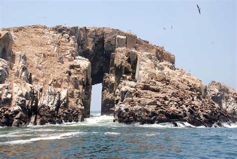 Tour Lobos Del Callao Lima All You Need To Know Before You Go