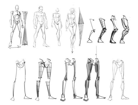 Drawing Tutorials For Beginners And Beyond Human Anatomy Fundamentals