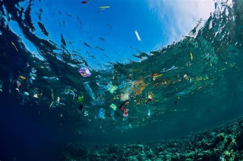 These Images Show The True Impact Of Plastics On Our Oceans