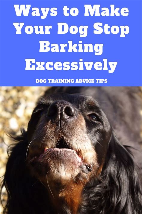 I have had to live with the disturbing barking of a neighbour's dogs some years back, but never had. Ways to Make Your Dog Stop Barking Excessively | Dogs, Dog ...