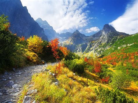 48 Free Mountain Autumn Wallpapers Wallpapersafari