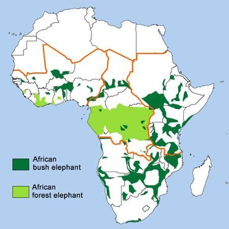 elephant distribution map | Elephant habitat, African elephant habitat
