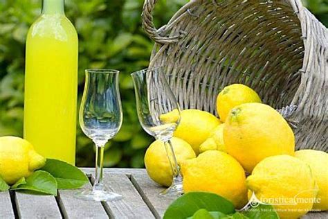 Maybe you would like to learn more about one of these? Frasi, citazioni e aforismi sul limoncello e il digestivo ...