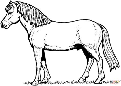 Horse Pictures For Kids Printable Activity Shelter