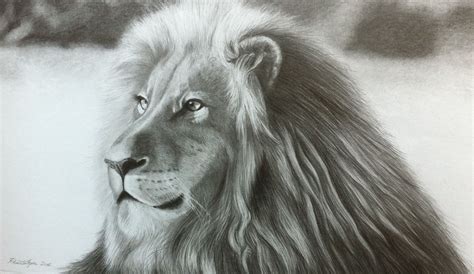 Lion Drawing With Graphite Pencils On A Paper By Renato Igrec Lion Drawing Realistic Drawings