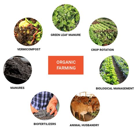 Organic Farming - Swarajyanow