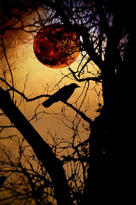 Raven Moon Photograph By Bill Cannon