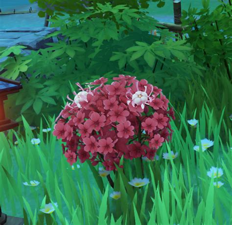 To prevent the malevolent deity. Silk Flower | Genshin Impact Wiki | Fandom