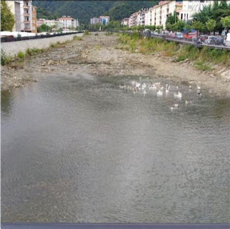 Bir Y L Nce Kurumaya Y Z Tutmu Ay Bozkurtu Nas L Yuttu Bedir