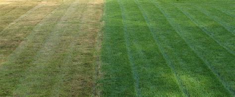 How to dethatch like a pro. How often do you water your #Lawn? - Pure Green Lawn Care Lansing Michigan