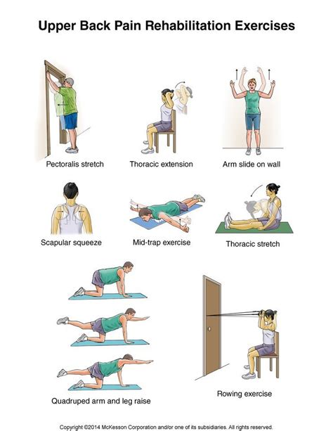 Neck Back Stretches Pdf File Plus Tracking Guide