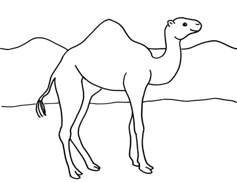 Camel Coloring Page - Samantha Bell