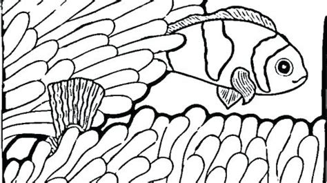 The large fish will ensure that your kid colors within the lines. Realistic Fish Drawing at GetDrawings | Free download
