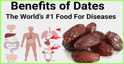 18 Evidence Based Health Benefits Of Dates Nutrition And Types