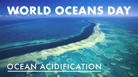 🔥 28 World Oceans Day Wallpapers Wallpapersafari